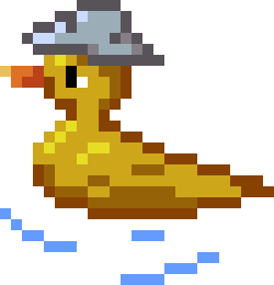 Duck